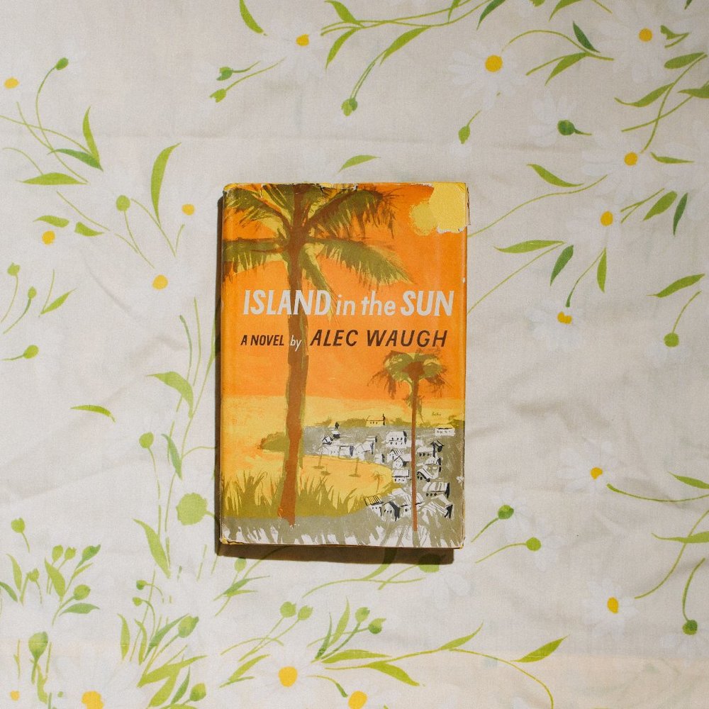 Island in the Sun Novel Book